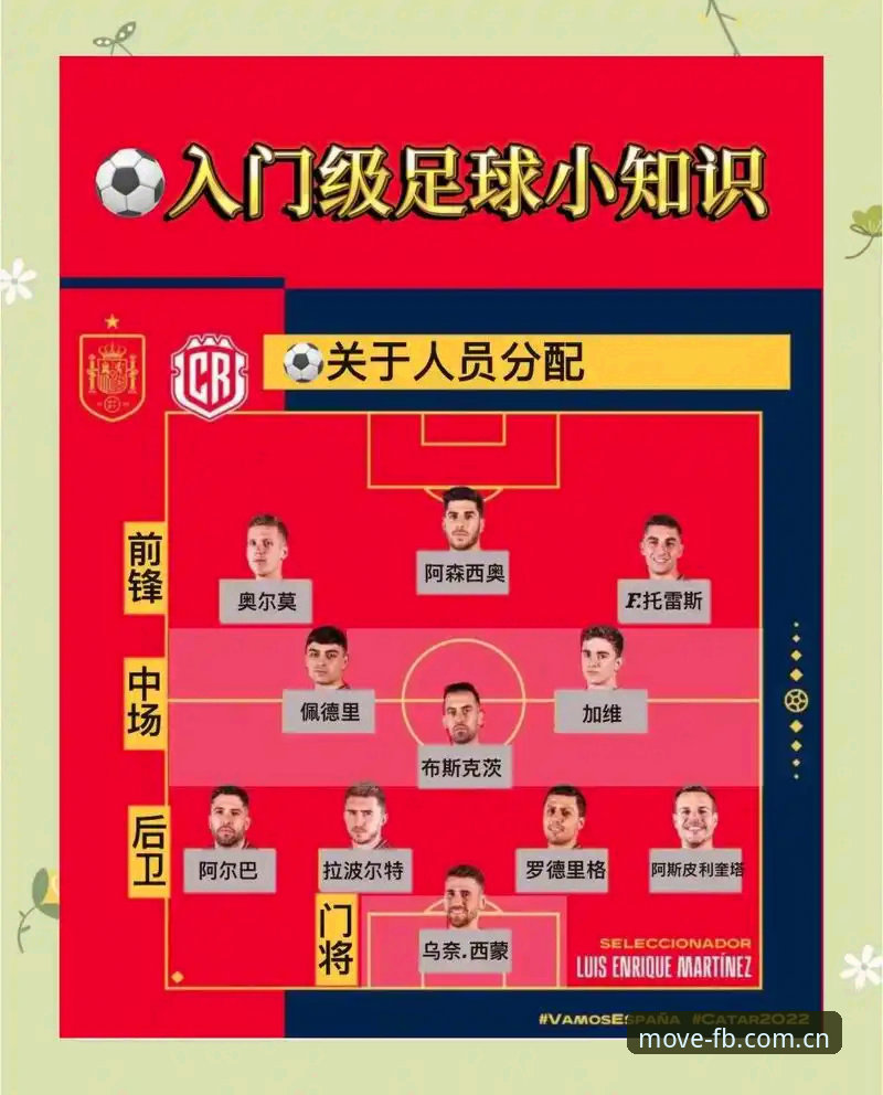世界杯观赛签证受阻实用应对指南——动感体育平台深度解析
